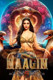Naagin: Season 6
